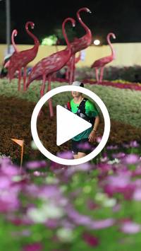 BIB:  <button type="button" onclick="openModal(27589982)" class="btn btn-primary btn-sm float-right" data-toggle="modal" data-target=".modal-high-quality">
                <i class="fa fa-download"></i> Download
                </button>